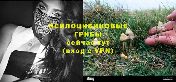 хмурый Елизово