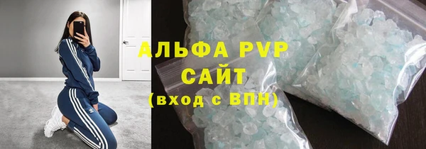 шишки Дмитриев
