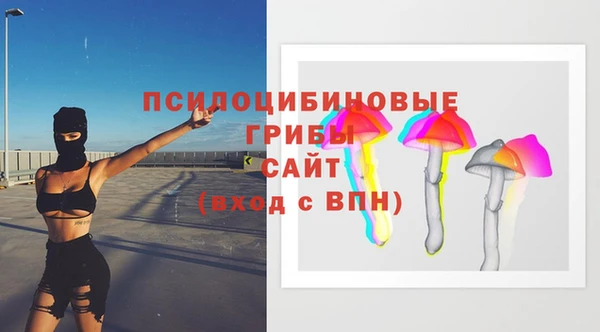 шишки Дмитриев