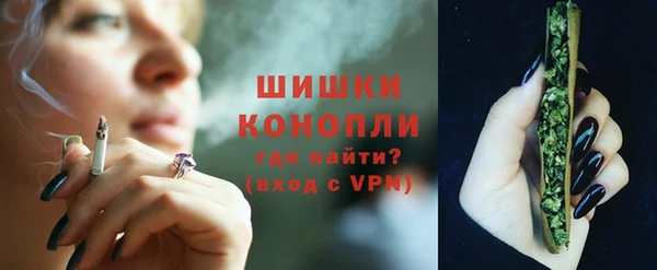 шишки Дмитриев