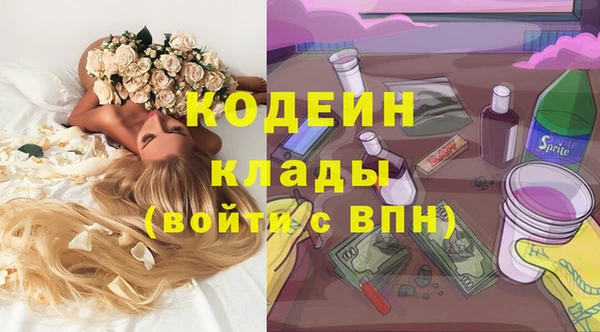 мдма Ельня