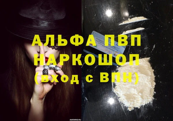 шишки Дмитриев