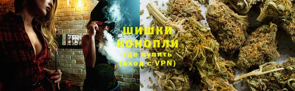 МДПВ Дмитровск