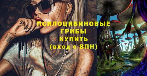 МДПВ Дмитровск