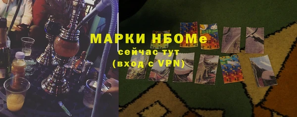 шишки Дмитриев