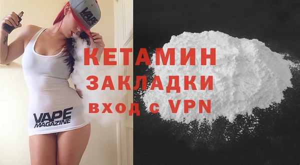 шишки Дмитриев