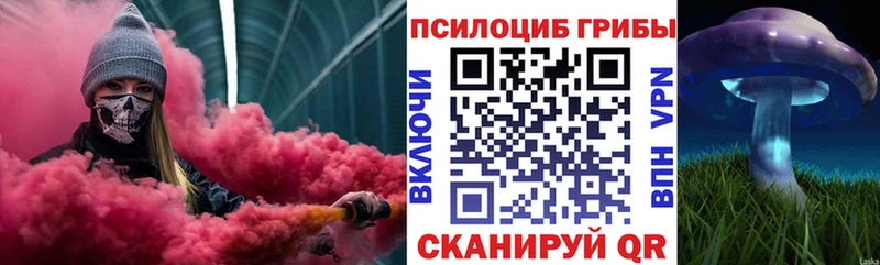 Купить  Пересвет  Псилоцибиновые грибы Magic Shrooms 